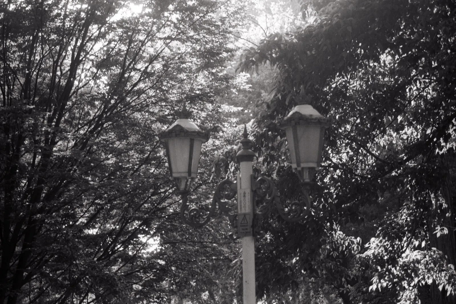 #filmisnotdead no.10 — kare 16